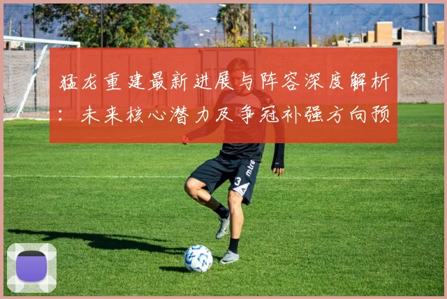 猛龙重建最新进展与阵容深度解析：未来核心潜力及争冠补强方向预测