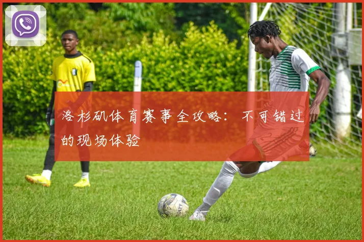 洛杉矶体育赛事全攻略:不可错过的现场体验