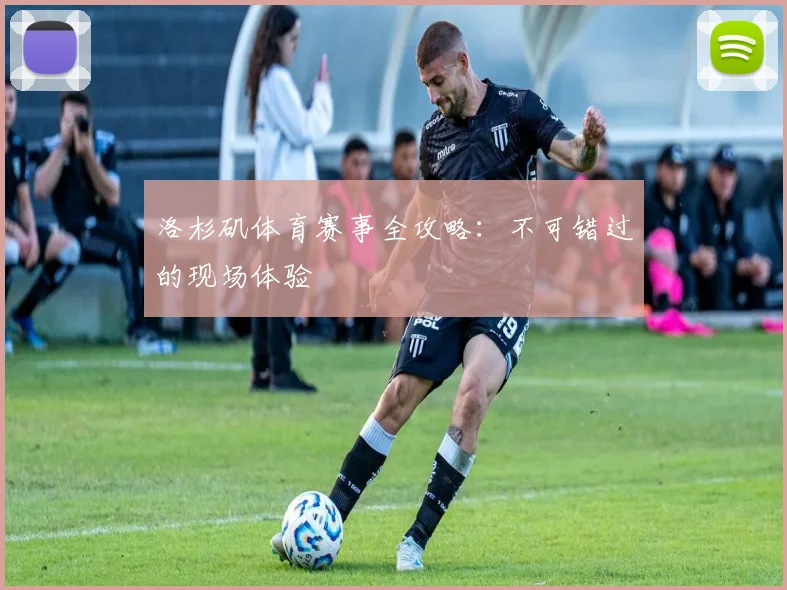洛杉矶体育赛事全攻略:不可错过的现场体验