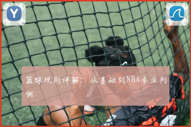 篮球规则详解:从基础到NBA专业判例